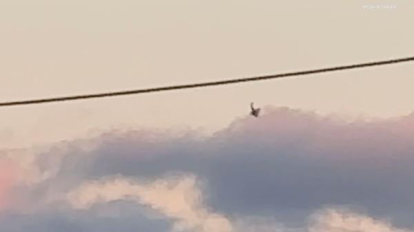 Plane falls out of the sky