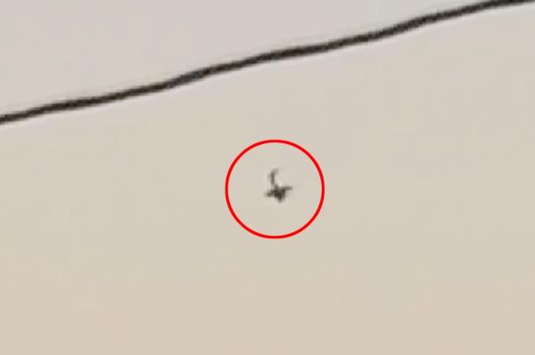 Plane falls out of the sky